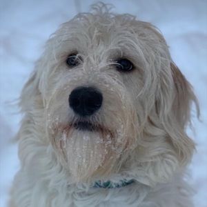 Meet your Posher, Leighanne